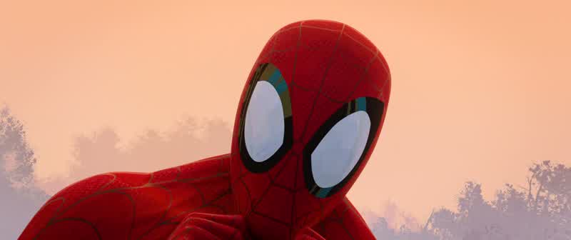 And it's a no on the cape I think it's coolTake that off It's disrespectfulSpider Man doesn't wear a cape