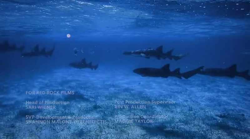 And it's anyone's guess what sharks will do next