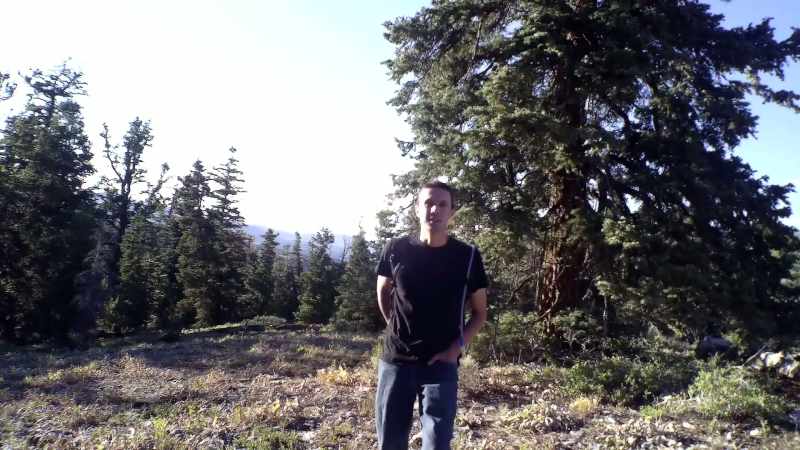 And it's your basic, survivalist type blog