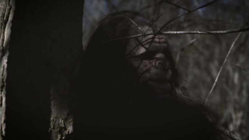 And it's coming from the forest