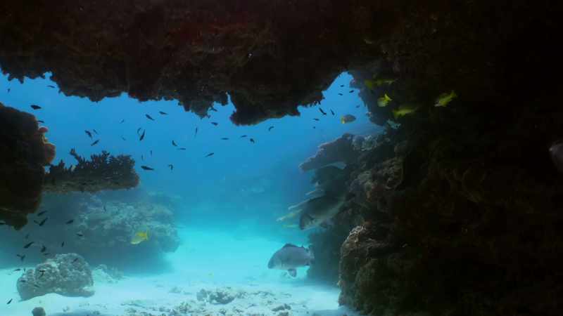 And it's on the seabed that you can find