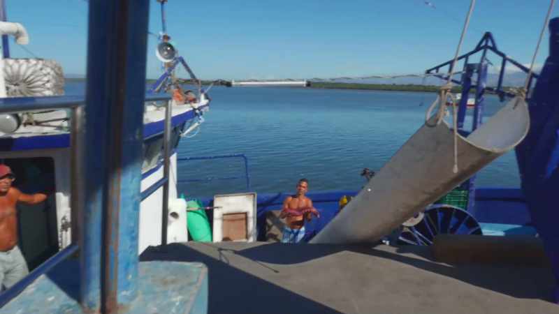 And it's... Sharks are being fished everywhere