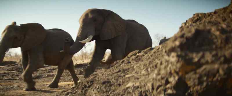 And it's telling them it's time to return to the Okavango