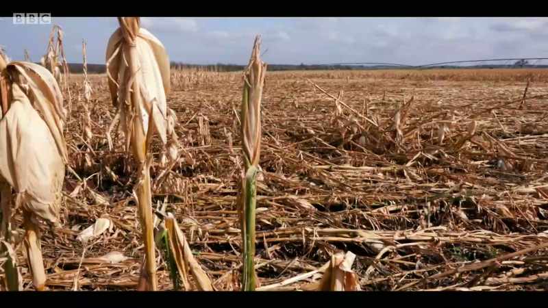 And it's threatening food and water security