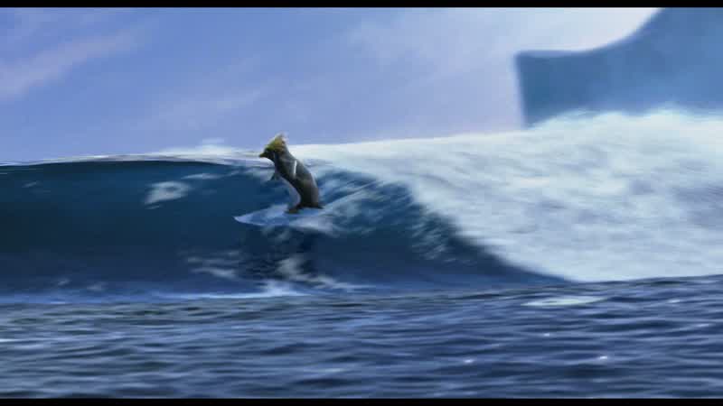 And I've been surfing ever since I can remember