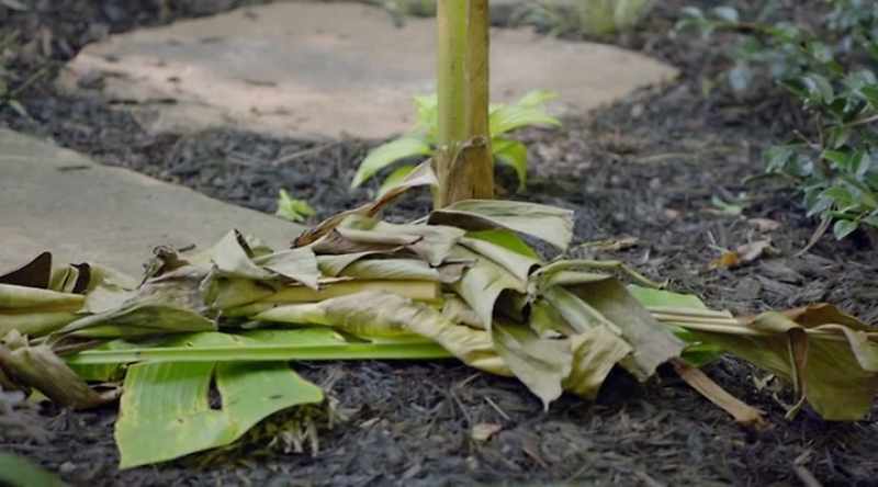 And it just focuses on new growth