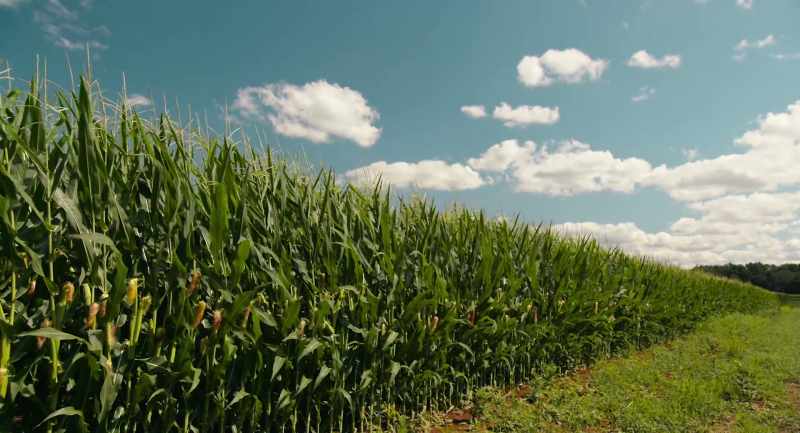 And just as you commented on why soil is so important