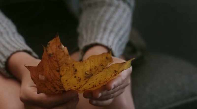 And you keep going until you can say OK, this is Norway maple