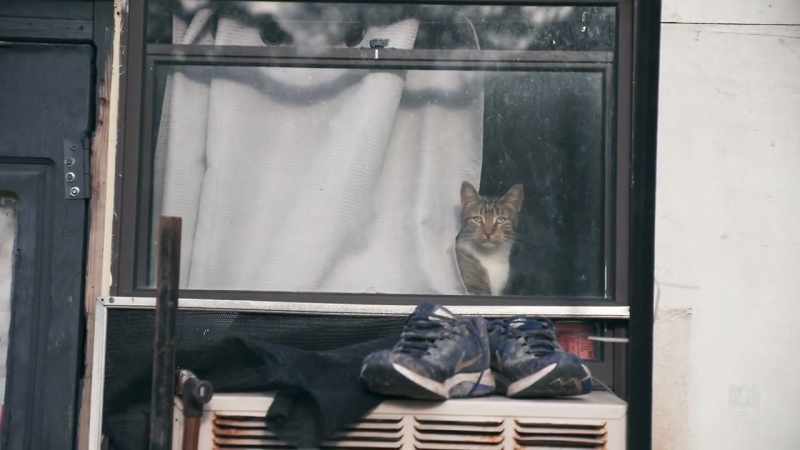 And, you know, quite unconsciously, I'm describing poverty