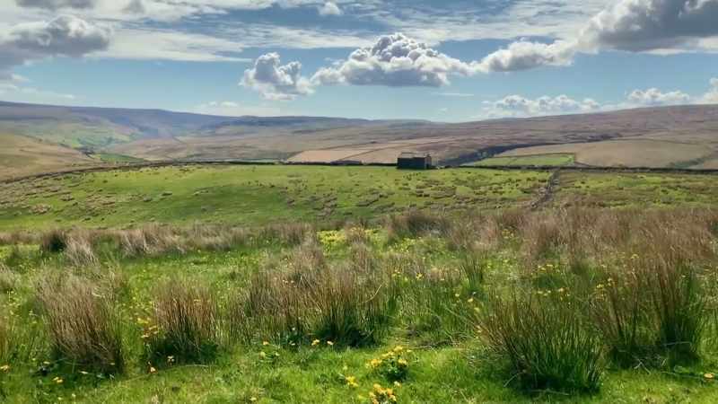 And we lose a few sheep due to that because being a dry spring