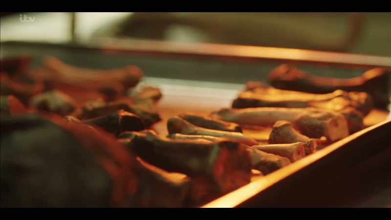 'And this morning, they found a significant amount of human bones.'