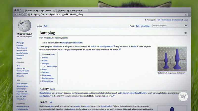 And now everything has its own Wiki page