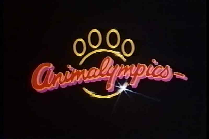 And now... live, via satellite ANIMALYMPICS!