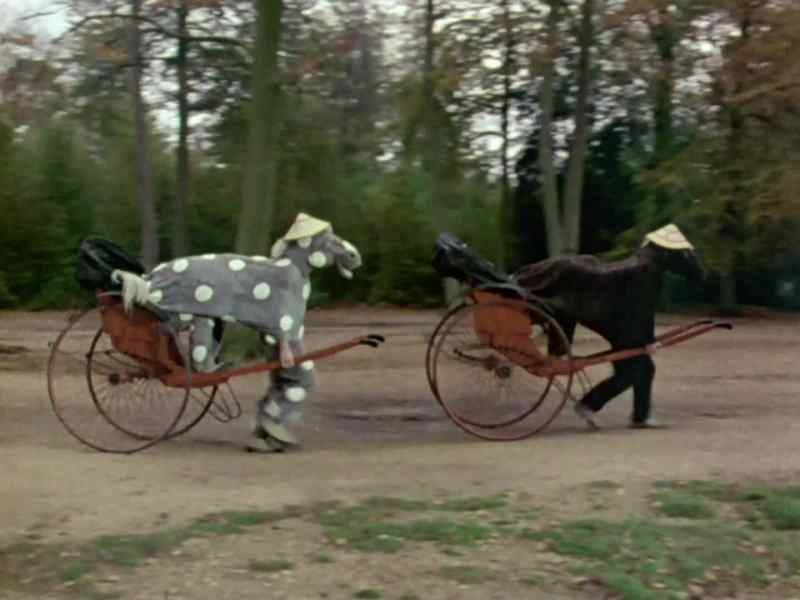 And now the english pantomime horse