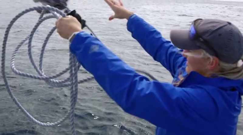 And often, that fish head is attached to a float