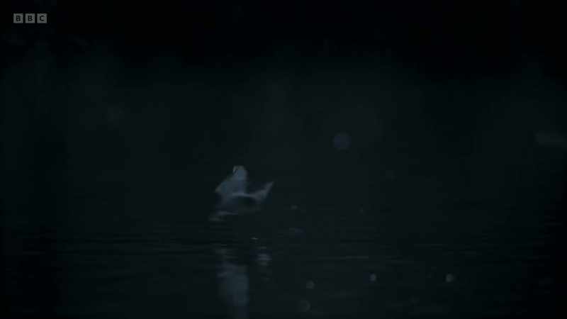 And on this autumn night