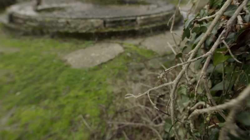 And on the day, pointe du hoc was empty
