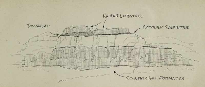 And on the horizon you have the Kaibab limestone