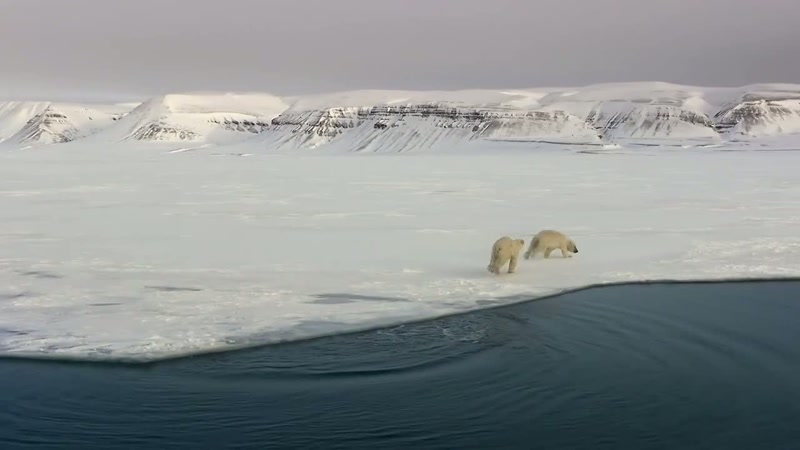 '..and she only has until spring to prepare her cub