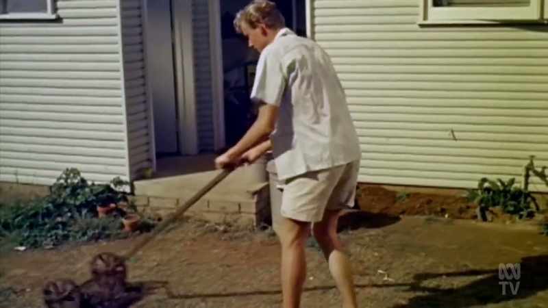 And outside, we wanted a lovely lawn