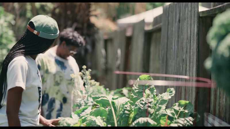 And they protected the garden just like you said they would