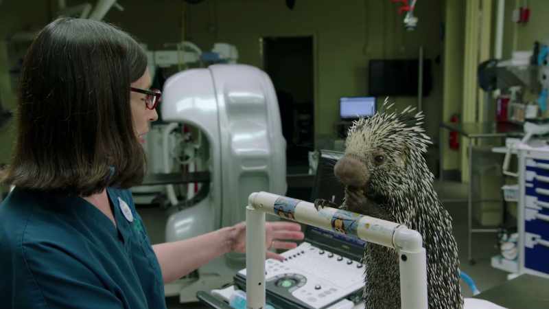 And right now, we're just been able to see her urinary bladder