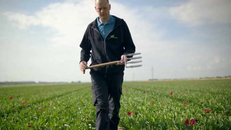 And Rob and Liesbeth are bulb farmers