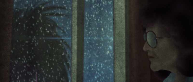 And said she opened up the window and she looked