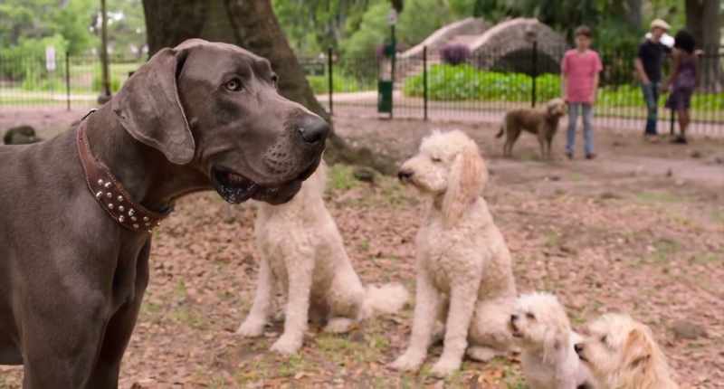 And they say size doesn't matter. - Who's Ted?