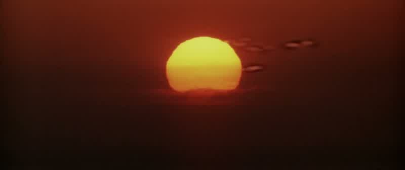 Every night I look at the sunsetand try to draw the last ounce of heat from its long dayand send it from my heart to yours