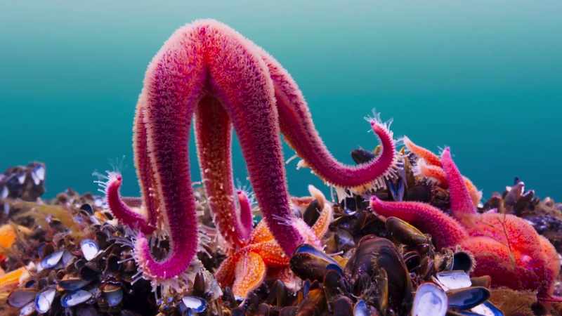 and, sensing changes in the water