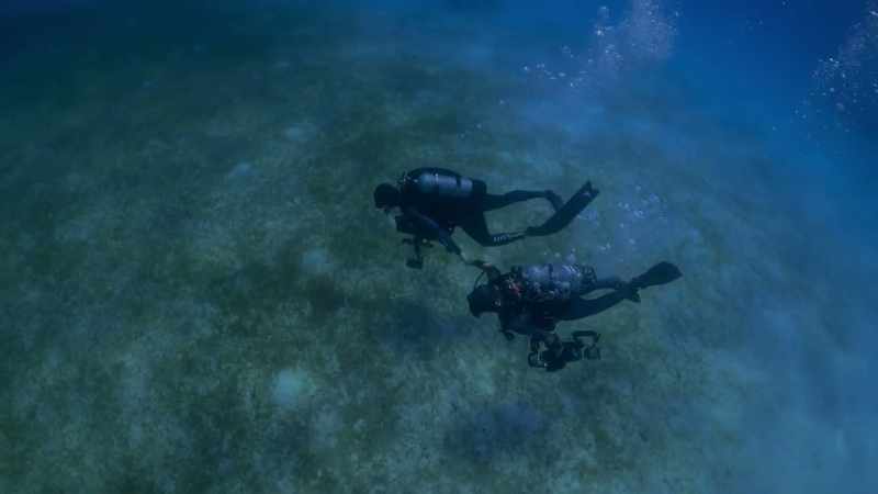 And so when I met Paul and I started diving with him