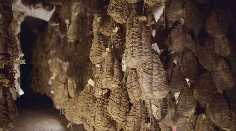And so we produce these only in winter time