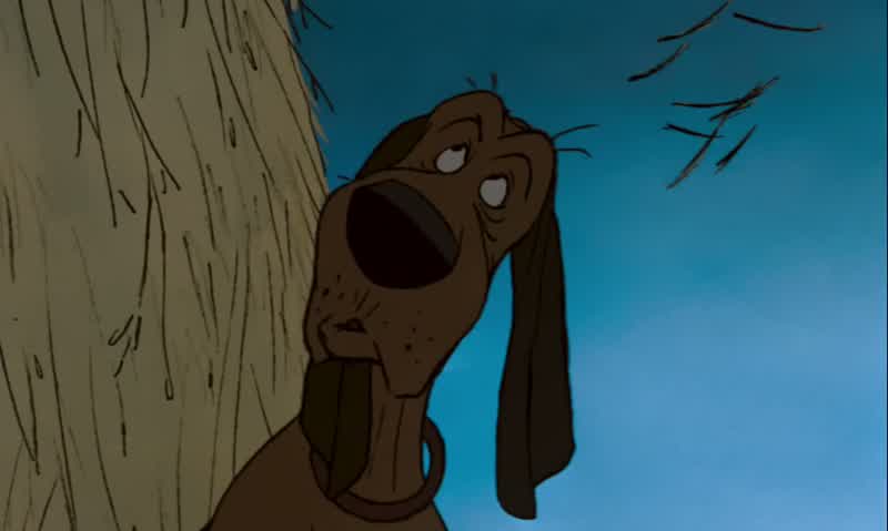 What And somebody stole my bumbershootWhere's my beddy bye basketWhoever it is is gonna get it and get it goodThis time I get the tender partHush your mouth Now come on