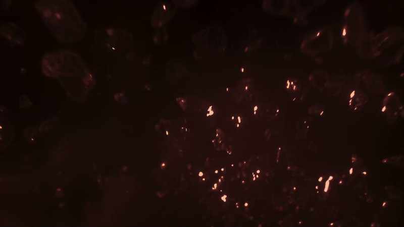 And we soon discovered that the galaxy is full of planets
