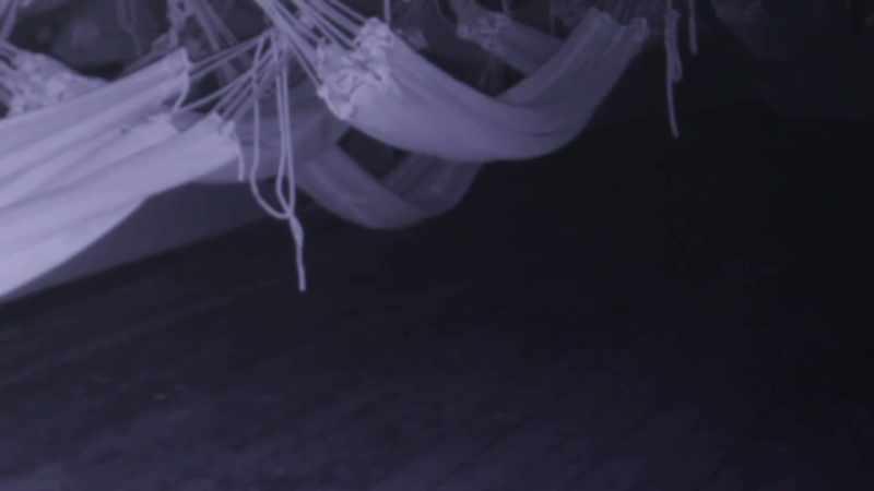 And as soon as it passes that hammock