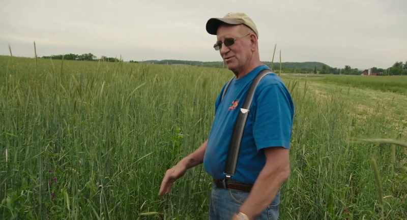 And soon as the soybeans come off