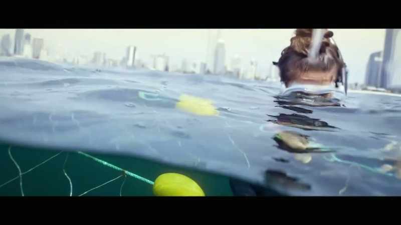 And that sparked my interest with shark nets