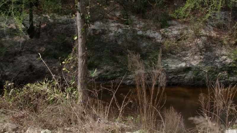 And she started asking me about the creek
