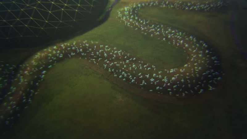 And taken as a whole, their pattern and scale