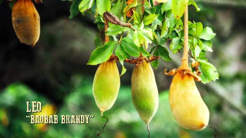 And, it takes a 100 years to bear fruit