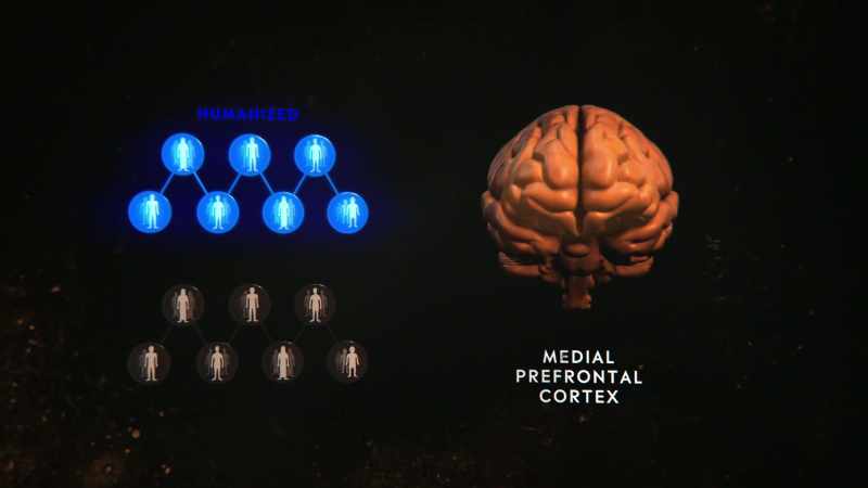 AND THAT BRAIN ACTIVITY IS VISIBLE TO RESEARCHERS