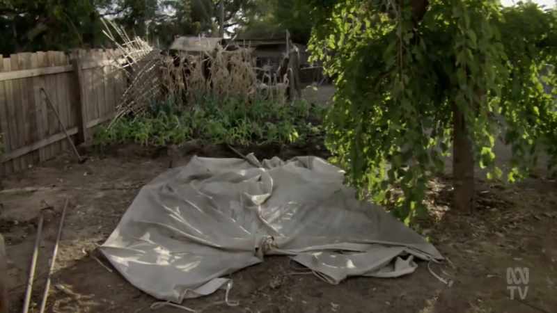And that is Oriel setting up a tent in the backyard