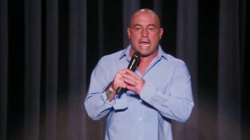 And that is what that is. That is a metal dick