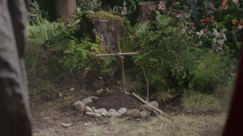 And that's how your beloved pigeon ended up dead?