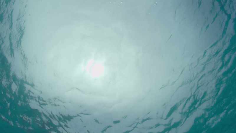 And the consequences are going to not just affect oceanic ecosystems