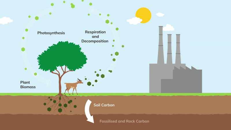 And the difference between a petroleum based plastic