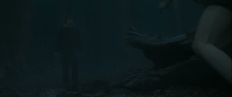 It was youWell yeah Bit obvious I thinkAnd you cast the doe as well did youNo I thought that was you No my Patronus is a stagRight Yeah Antlers