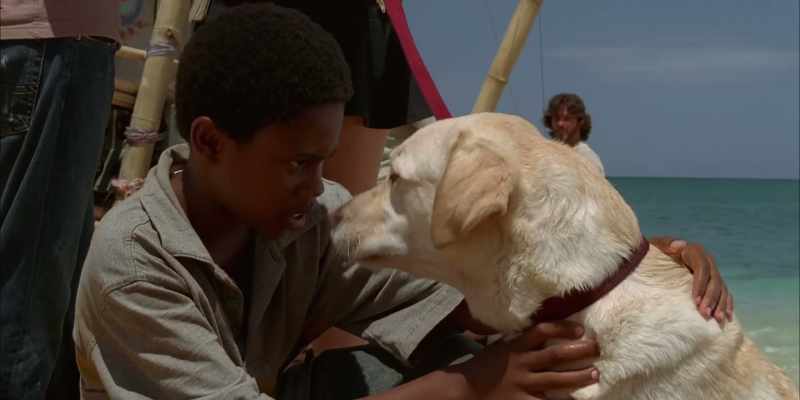 And the dog was literally having the best