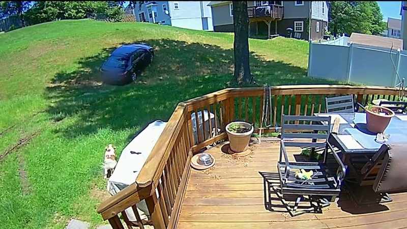 And the dog who had this close call, his name is Lucky